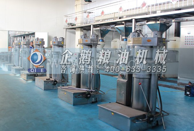 芝麻油提取加工，企鵝糧油機械生產(chǎn)色香味俱佳的油脂(圖3)